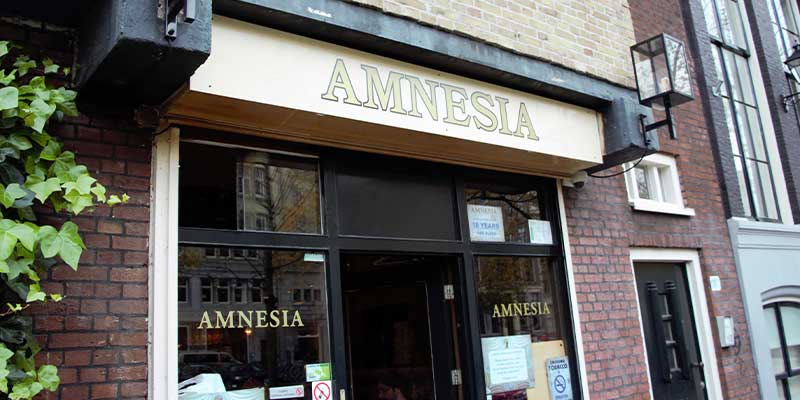 AMNESIA AMSTERDAM COFFEESHOP